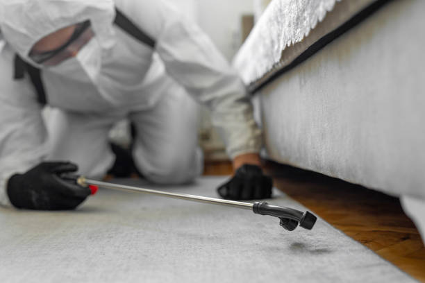 Professional Bed Bug Control technician working in Salton City, CA